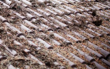 Glanton roof cleaning companies