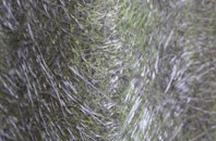 Glanton fibreglass roof work